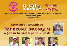 Spectacol caritabil pentru un copil de 14 ani, la Târgu Jiu