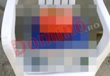 Roșie gigant într-o gospodărie din Târgu Jiu!