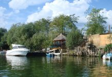 Birdwatching – una dintre activitatile perfecte in excursiile in Delta Dunarii