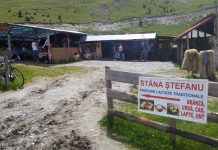 Lista cu produsele montane atestate în Gorj. Urmează tocanul de oaie!