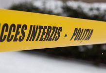 Descoperire macabră: Cadavrul unui bărbat, devorat de animale, găsit pe câmp