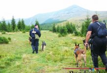 Poliţiştii speră în zmeurari pentru a-l găsi pe Costea la Rânca