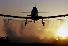 Atenție apicultori! Se va executa un nou tratament împotriva țânțarilor și căpușelor