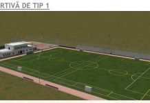 Planurile de viitor ale primarului Romanescu