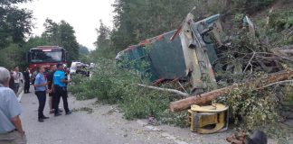 Șoferul unui camion plin cu lemne și-a băgat familia în spital, după ce s-a răsturnat pe Transalpina. Soția și cele două fiice minore se aflau cu el în cabină