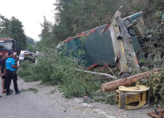 Șoferul unui camion plin cu lemne și-a băgat familia în spital, după ce s-a răsturnat pe Transalpina. Soția și cele două fiice minore se aflau cu el în cabină