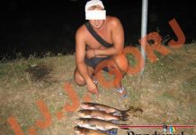 Prins de jandarmi "greblând" la peşti pe Jiu