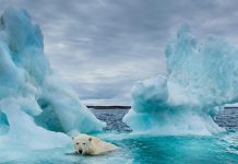 Încălzirea globală prin care trecem nu poate fi comparată cu altă perioadă din ultimii 2.000 de ani