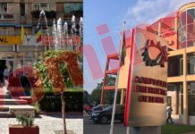 LIDERI din CEO, ATACURI DURE la adresa unui LIDER PNL