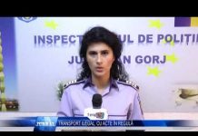 TRANSPORT ILEGAL, CU ACTE IN REGULA