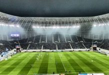 Gazon de cinci stele pe Ion Oblemenco https://gorjeanul.ro/