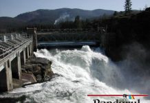 Toate hidrocentralele într-o singură companie energetică