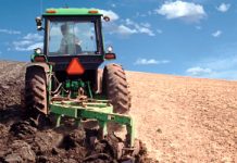 Societate a Complexului Energetic Oltenia se reprofilează pe lucrări agricole