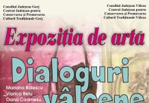 Expoziție de artă „Dialoguri Vâlcene”
