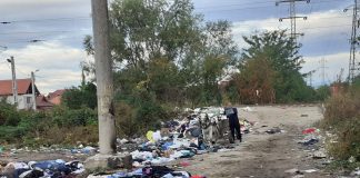 Polițiștii locali au depistat duminică un bărbat în timp ce arunca deșeuri pe strada Pinului din municipiul Tîrgu Jiu