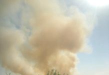 14:39 ALARMANT! Aproape 500 de incendii de vegetație