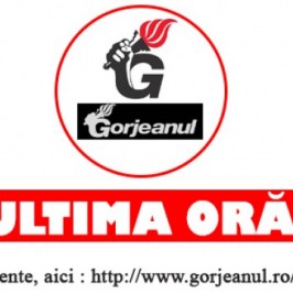 https://gorjeanul.ro/