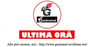 https://gorjeanul.ro/