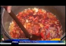 NOVACI FESTIVALUL TOCANULUI