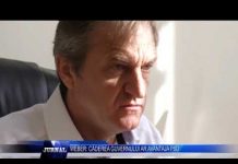 WEBER CĂDEREA GUVERNULUI AR AVANTAJA PSD