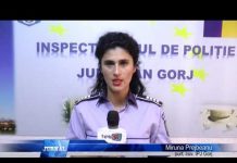 S A TREZIT CU PĂDUREA TĂIATĂ