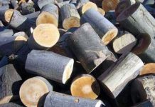 Chetă pentru tăierea lemnelor în școală! Profesorii de la Bengești-Ciocadia plătesc pentru munca lipsă a îngrijitorului, plecat în străinătate