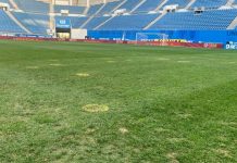 Suporterii fac chetă să schimbe gazonul de la Craiova