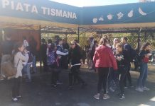 Copii premiaţi cu puieţi de castan