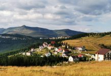 Șofer prins cu permis fals, făcut în Ucraina