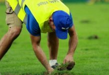 Gazonul de la Craiova se va schimba în această lună cu un gazon hibrid