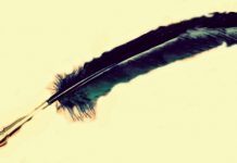 Avataruri la Serile la Brădiceni https://gorjeanul.ro/