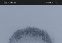 FOTO: A dispărut de acasă pentru a cincea oară https://gorjeanul.ro/