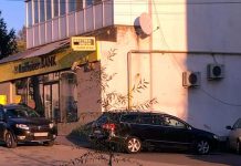 Copac plantat în groapa din asfalt, la Târgu-Cărbunești, în semn de protest