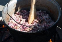 Festivalul Tocanului- Novaci, ediția a II-a