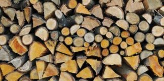 Gorj/ Razii la depozitele de material lemnos