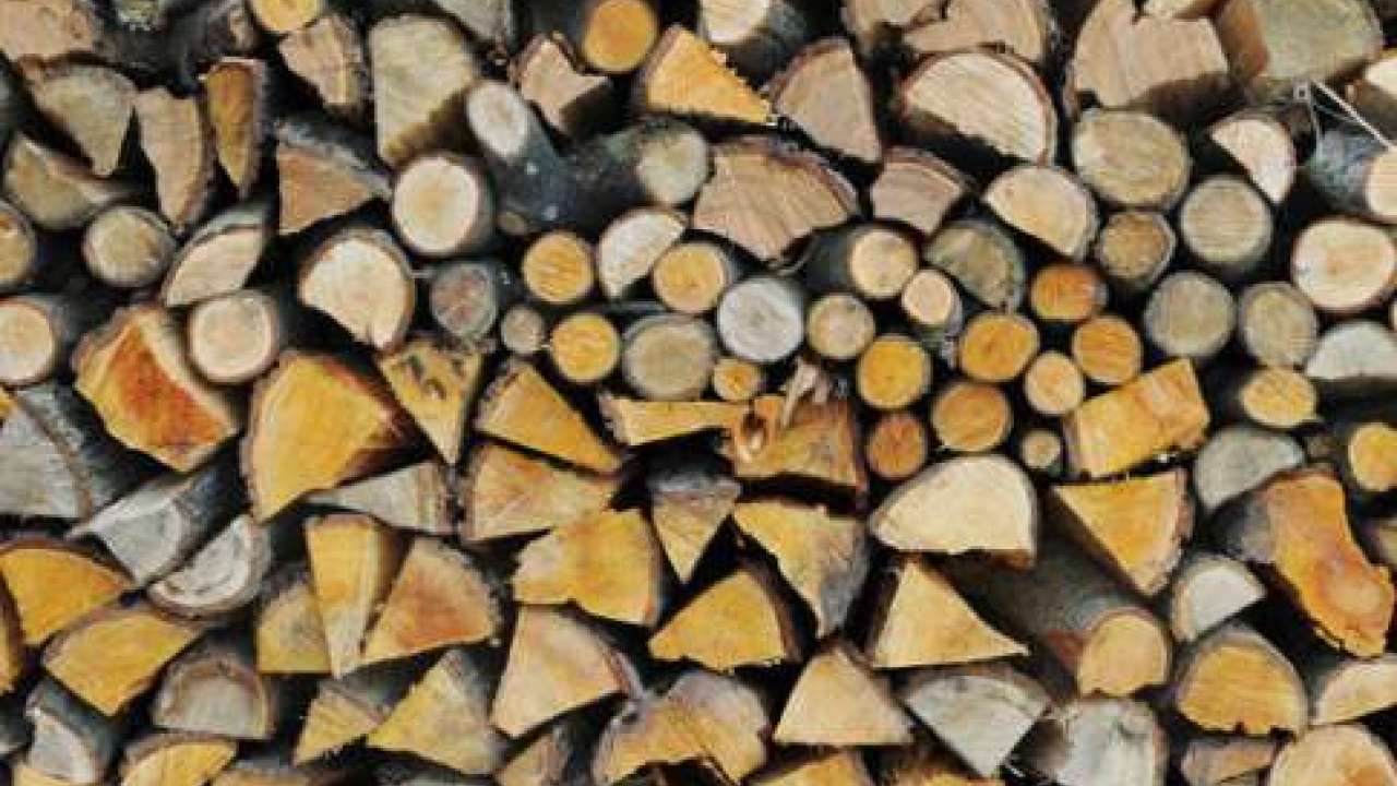 Gorj/ Razii la depozitele de material lemnos