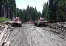 Cer măsuri pentru stoparea jafului din păduri https://gorjeanul.ro/