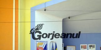 https://gorjeanul.ro/