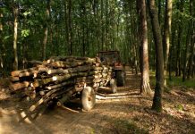 Muncea la negru ca tractorist