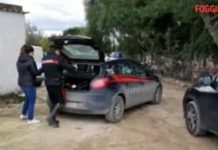 Crimă și sinucidere în Italia. O gorjeancă victimă!
Scene șocante miercuri dimineața în Italia, la Cerignola. Francesco Ciuffreda, în v&acir…