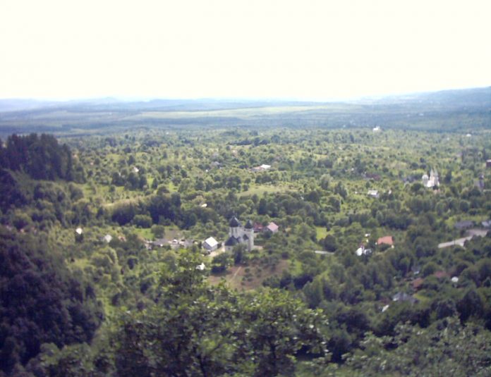 Resturi de păsări, abandonate pe un câmp de la marginea localității Dănești