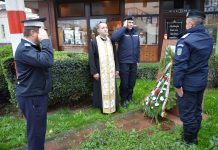 Manifestări dedicate jandarmului erou George Marchiș