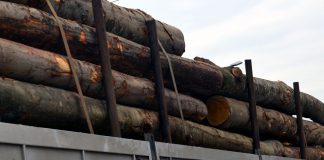 Gorj: Transportatori de lemne, amendați de poliție