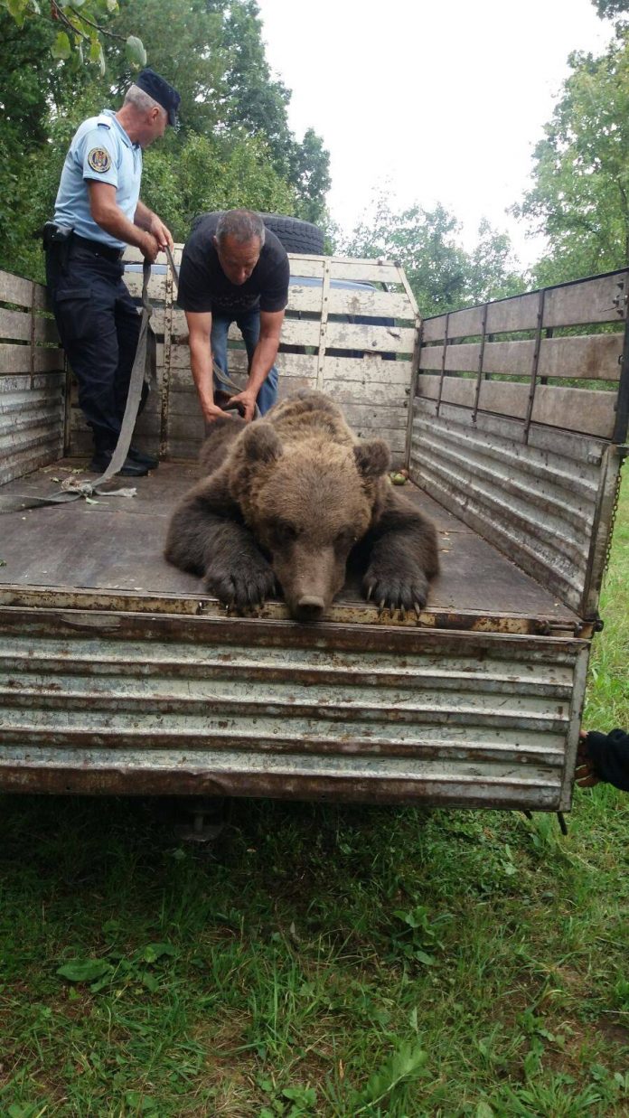 Măsuri pentru ca în Gorj să nu se repete situația de la Harghita