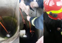 A avut zile! Femeie de 88 de ani, salvată din fântână