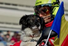 Câinele salvator de la Rânca împlinește 6 ani