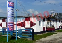 DIRECTOR din CEO, MESAJ pentru noii membri CA ai Minprest Rovinari