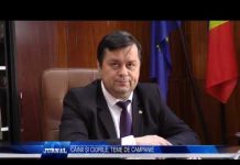 CÂINII ȘI CIORILE, TEME DE CAMPANIE