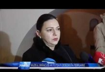 MUZEUL BRÂNCUȘI AR PUTEA FI DESCHIS ÎN FEBRUARIE