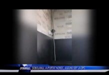 ȘOBOLANUL I A PURTAT NOROC, A AJUNS ȘEF LA OPC